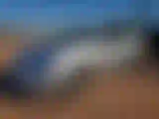 Vehicle Image- 2015 Toyota Corolla