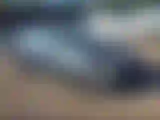 Vehicle Image- 2016 Toyota Corolla