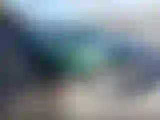 Vehicle Image- 2016 Toyota Corolla