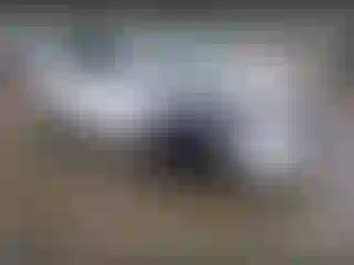 Vehicle Image- 2016 Toyota Corolla