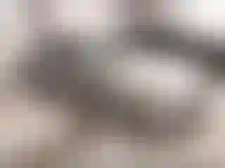 Vehicle Image- 2006 Toyota Corolla