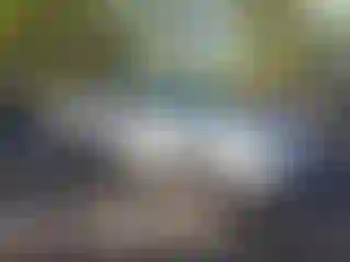 Vehicle Image- 2001 Toyota Camry