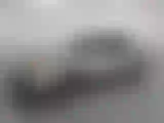 Vehicle Image- 2003 Toyota Camry
