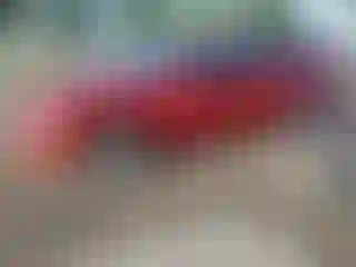 Vehicle Image- 2001 Toyota Camry