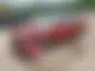 Vehicle Image- 2003 Toyota Camry