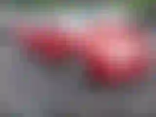 Vehicle Image- 2002 Toyota Camry
