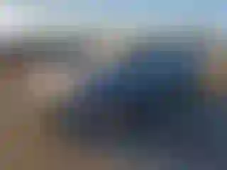 Vehicle Image- 2009 Toyota Corolla