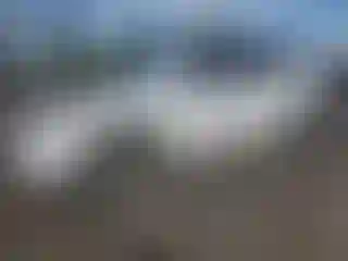 Vehicle Image- 2003 Toyota Corolla