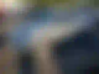 Vehicle Image- 2004 Toyota Corolla