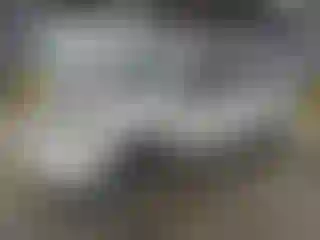 Vehicle Image- 2006 Toyota Corolla