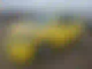 Vehicle Image- 2004 Toyota Corolla