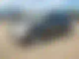 Vehicle Image- 2004 Toyota Corolla