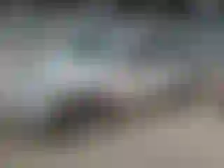 Vehicle Image- 2005 Toyota Corolla