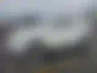 Vehicle Image- 2009 Toyota Corolla