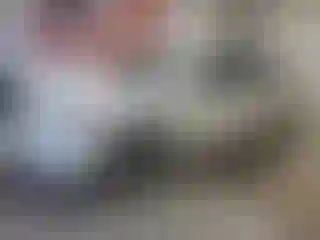 Vehicle Image- 2005 Toyota Corolla