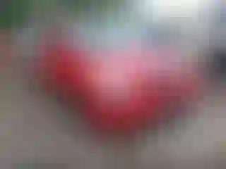 Vehicle Image- 2006 Toyota Matrix