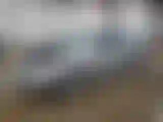 Vehicle Image- 2004 Toyota Corolla