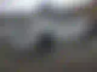 Vehicle Image- 2024 Lexus RX