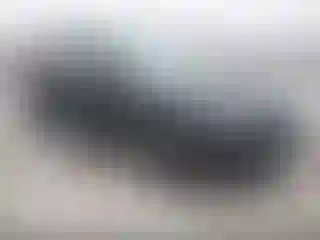 Vehicle Image- 2023 Lexus RX