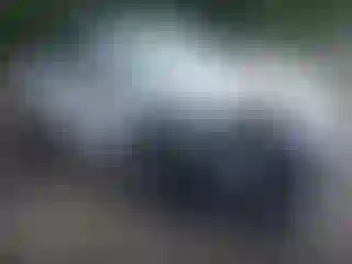 Vehicle Image- 2024 Lexus RX