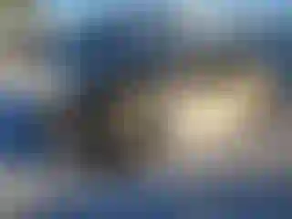 Vehicle Image- 2024 Lexus RX