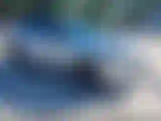 Vehicle Image- 2024 Lexus RX