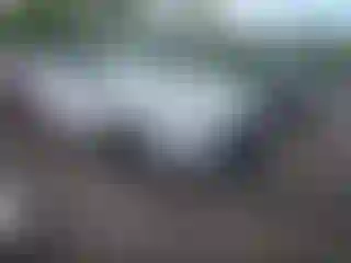 Vehicle Image- 2024 Lexus RX