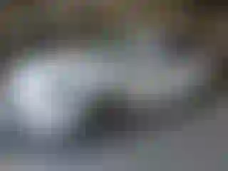 Vehicle Image- 2024 Lexus RX