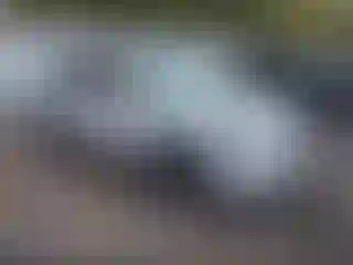 Vehicle Image- 2014 Lexus RX