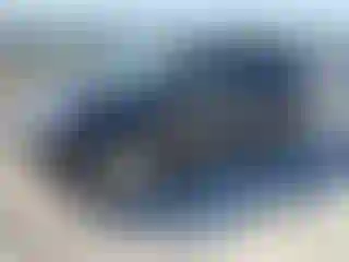 Vehicle Image- 2010 Lexus RX