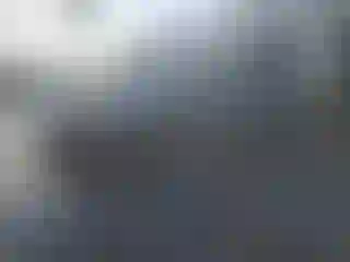 Vehicle Image- 2010 Lexus RX