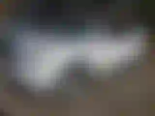 Vehicle Image- 2011 Lexus RX