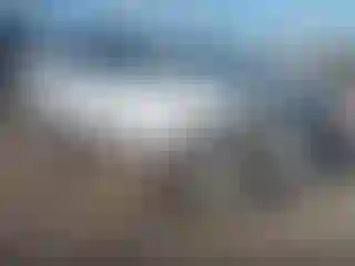 Vehicle Image- 2011 Lexus RX