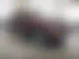 Vehicle Image- 2013 Lexus RX