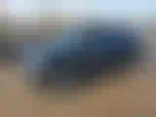 Vehicle Image- 2013 Lexus RX