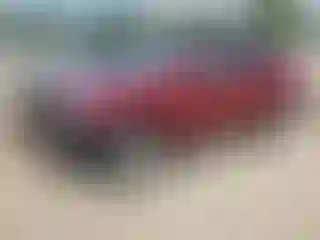 Vehicle Image- 2011 Lexus RX