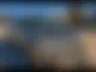 Vehicle Image- 2015 Lexus RX