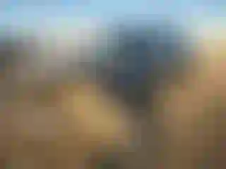 Vehicle Image- 2011 Lexus RX