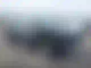 Vehicle Image- 2015 Lexus RX