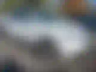 Vehicle Image- 2015 Lexus RX