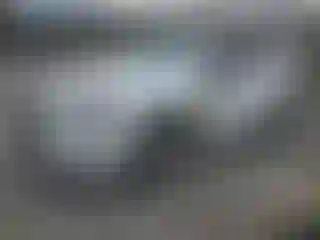 Vehicle Image- 2016 Lexus RX