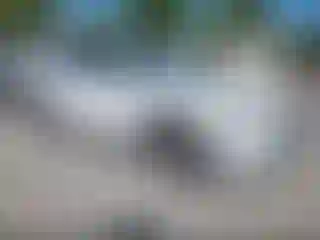 Vehicle Image- 2017 Lexus RX