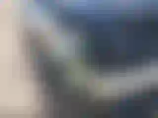 Vehicle Image- 2004 Lexus RX