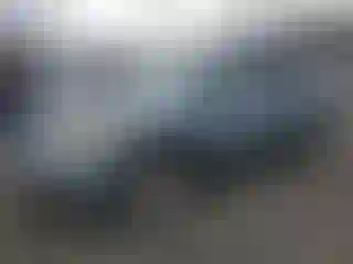 Vehicle Image- 2005 Lexus RX