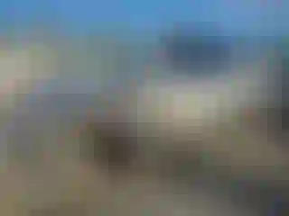 Vehicle Image- 2004 Lexus RX