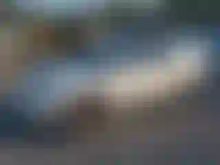 Vehicle Image- 2005 Lexus RX