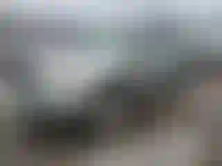 Vehicle Image- 2004 Lexus RX