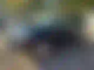 Vehicle Image- 2006 Lexus RX