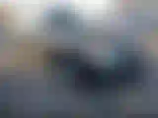 Vehicle Image- 2009 Lexus RX