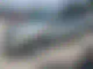 Vehicle Image- 2007 Lexus RX